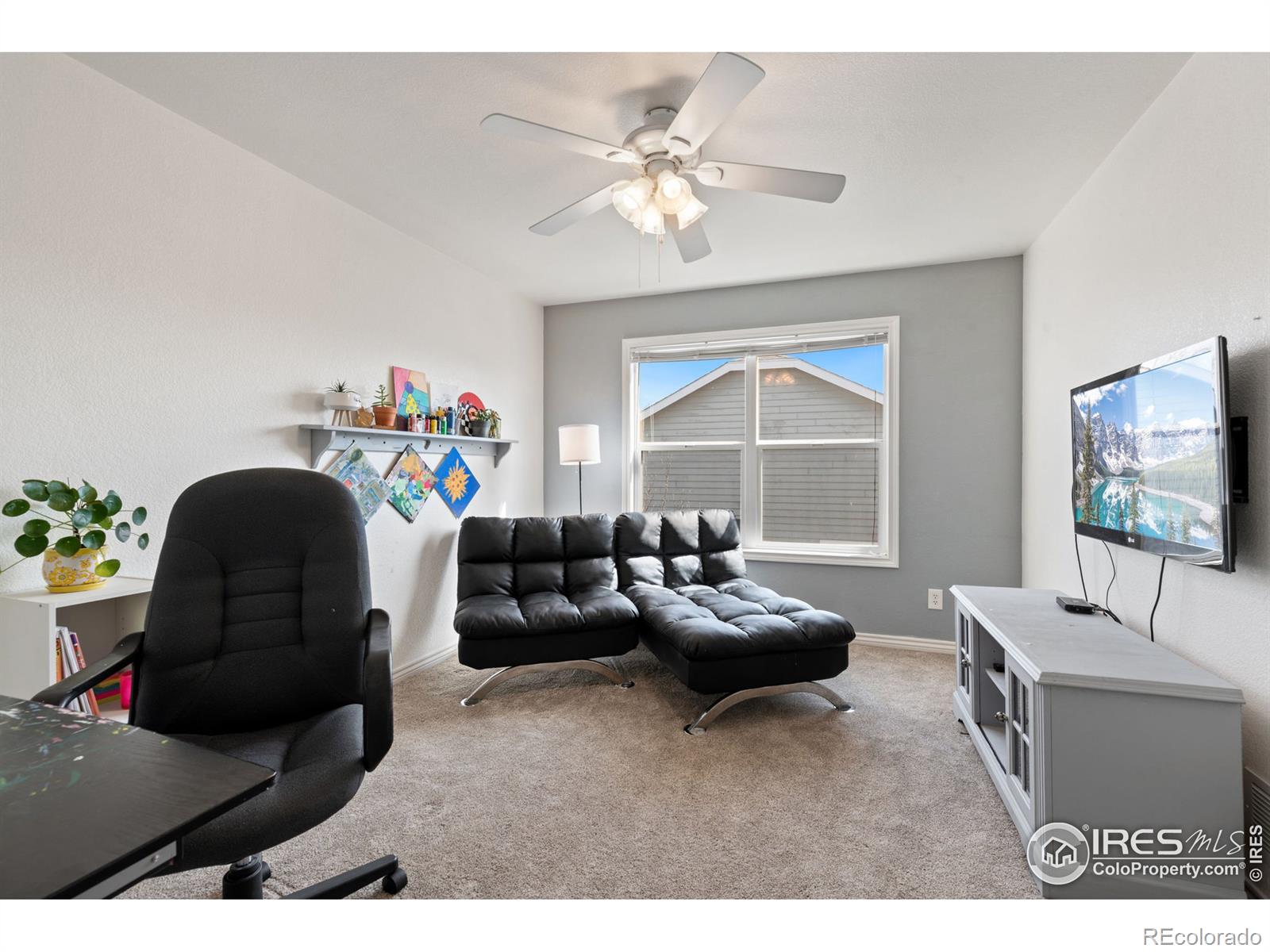MLS Image #24 for 8113  louden crossing,windsor, Colorado