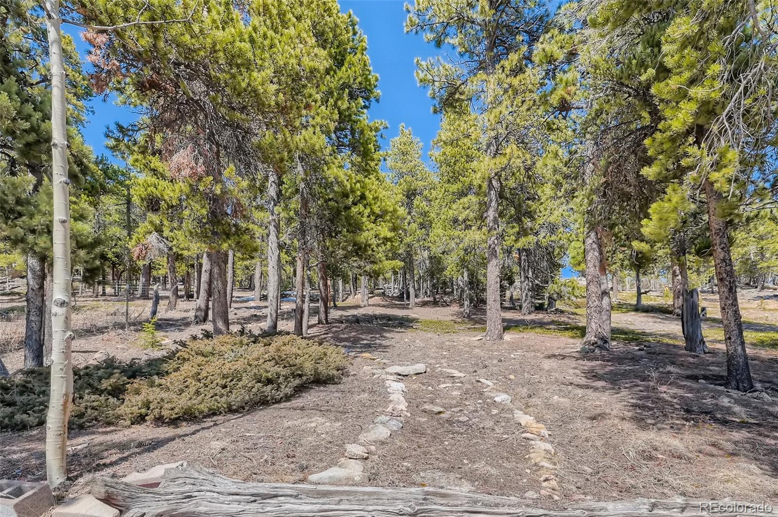 MLS Image #17 for 34089  lyttle dowdle drive,golden, Colorado