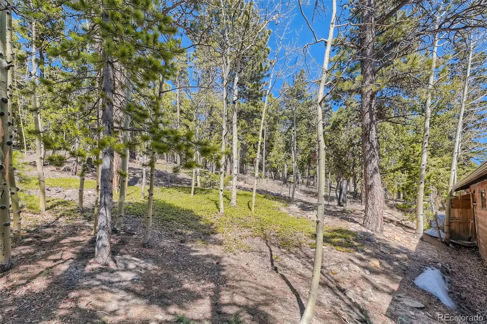 MLS Image #18 for 34089  lyttle dowdle drive,golden, Colorado