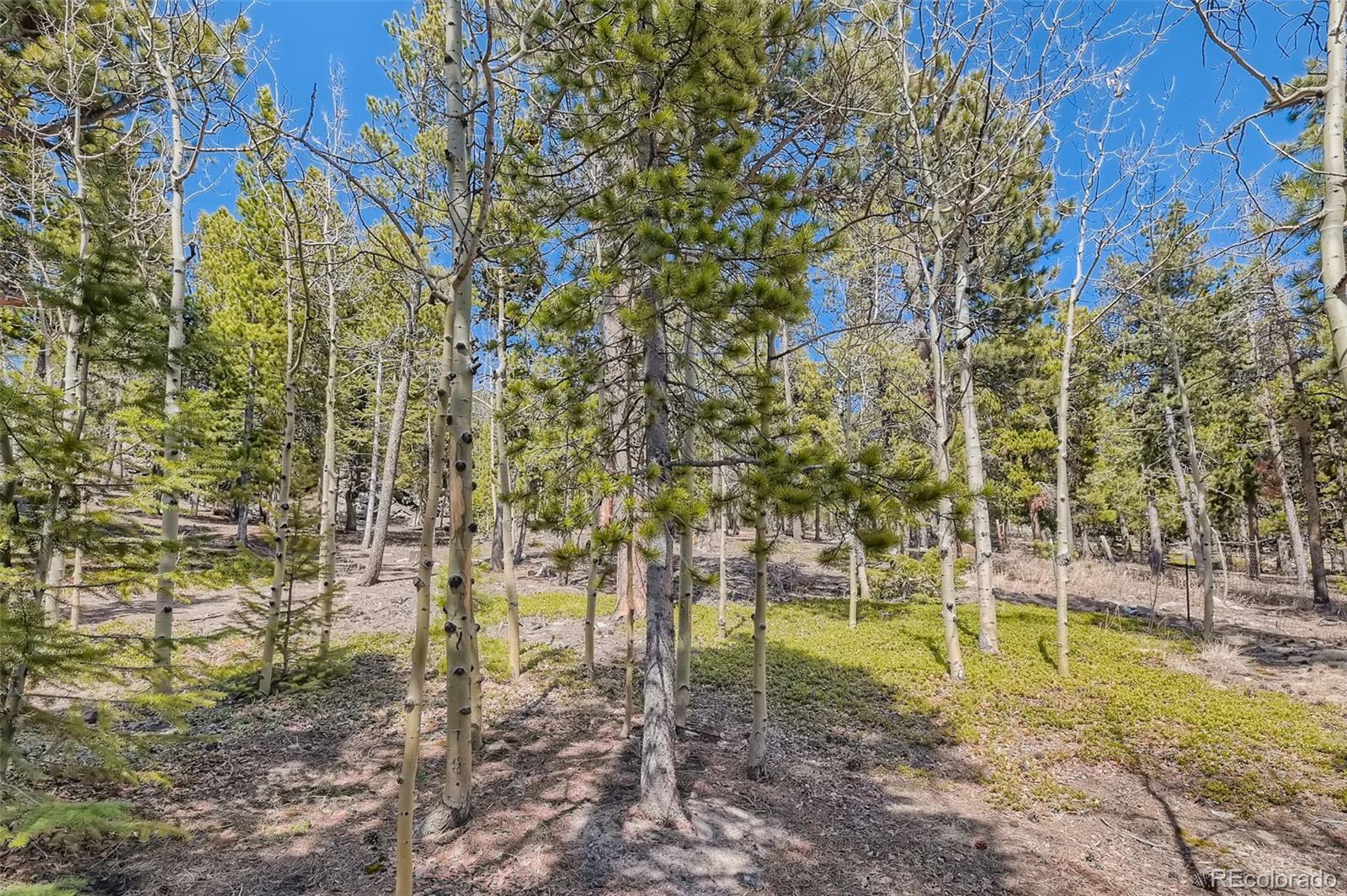 MLS Image #19 for 34089  lyttle dowdle drive,golden, Colorado