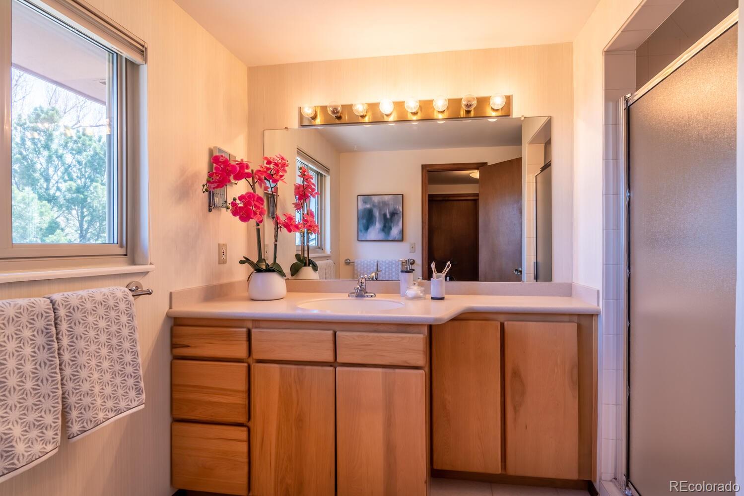 MLS Image #21 for 64 s flora way,golden, Colorado