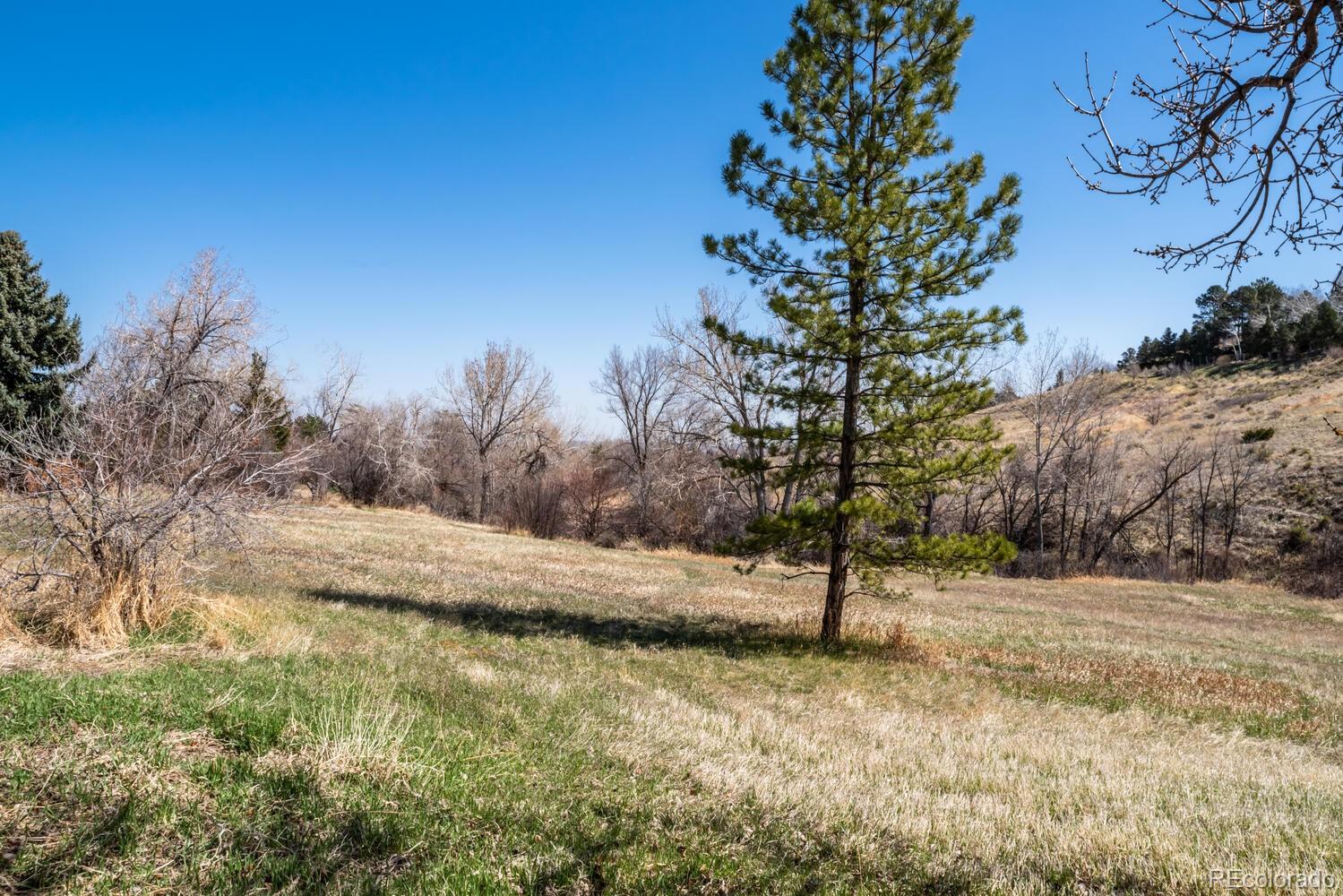 MLS Image #34 for 64 s flora way,golden, Colorado
