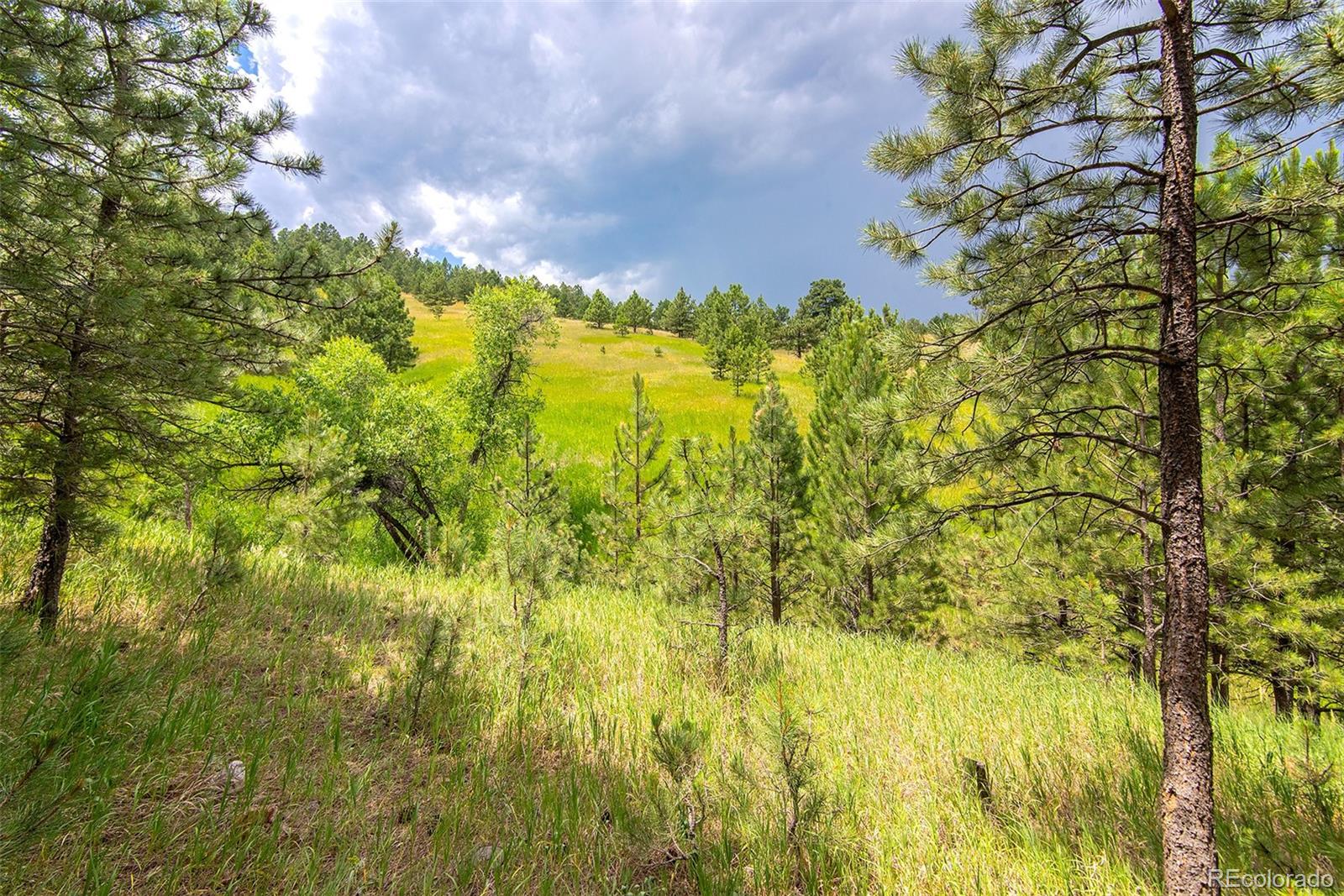 MLS Image #33 for 298  balsam lane,boulder, Colorado