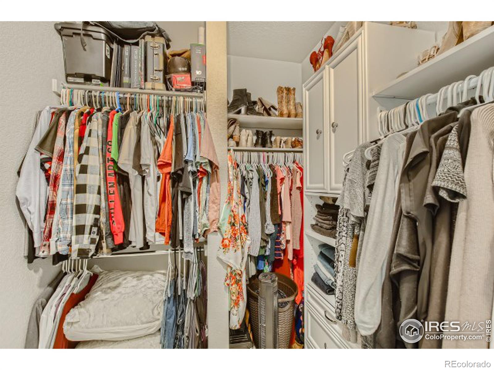 MLS Image #15 for 804  summer hawk drive,longmont, Colorado