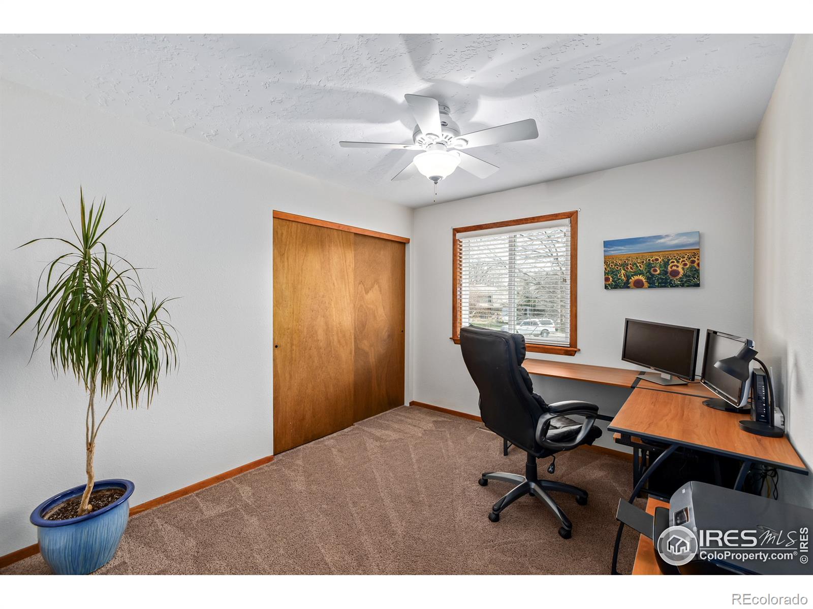 MLS Image #21 for 2537  myrtle court,fort collins, Colorado