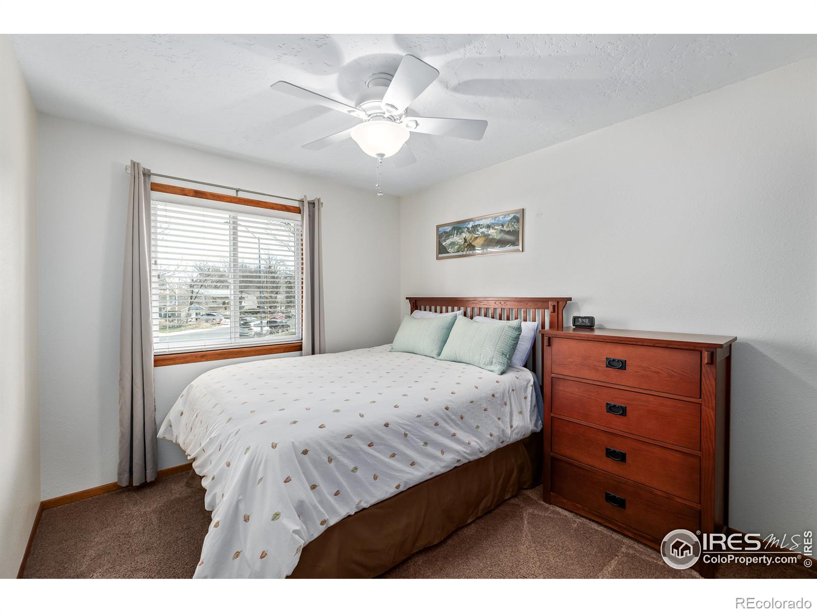 MLS Image #22 for 2537  myrtle court,fort collins, Colorado