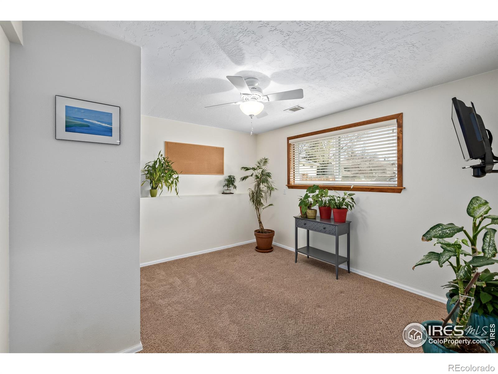 MLS Image #29 for 2537  myrtle court,fort collins, Colorado