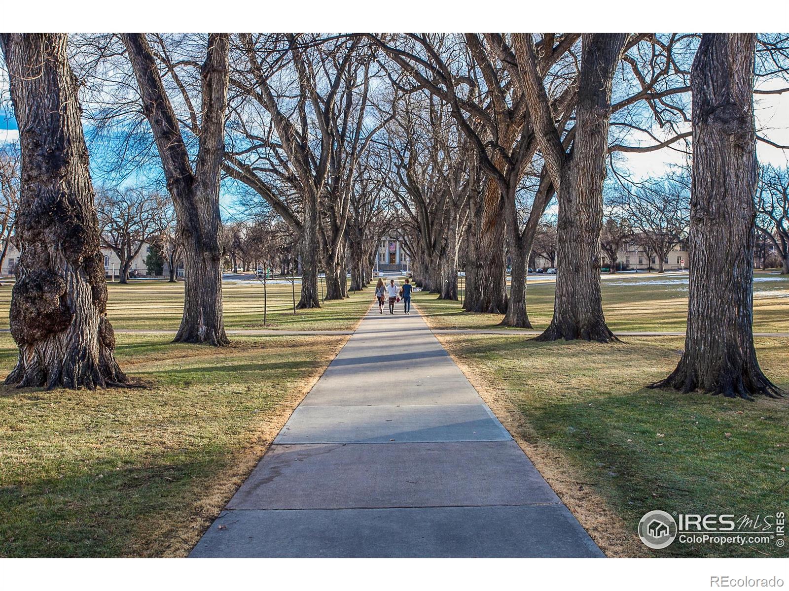 MLS Image #31 for 227 s sherwood street,fort collins, Colorado