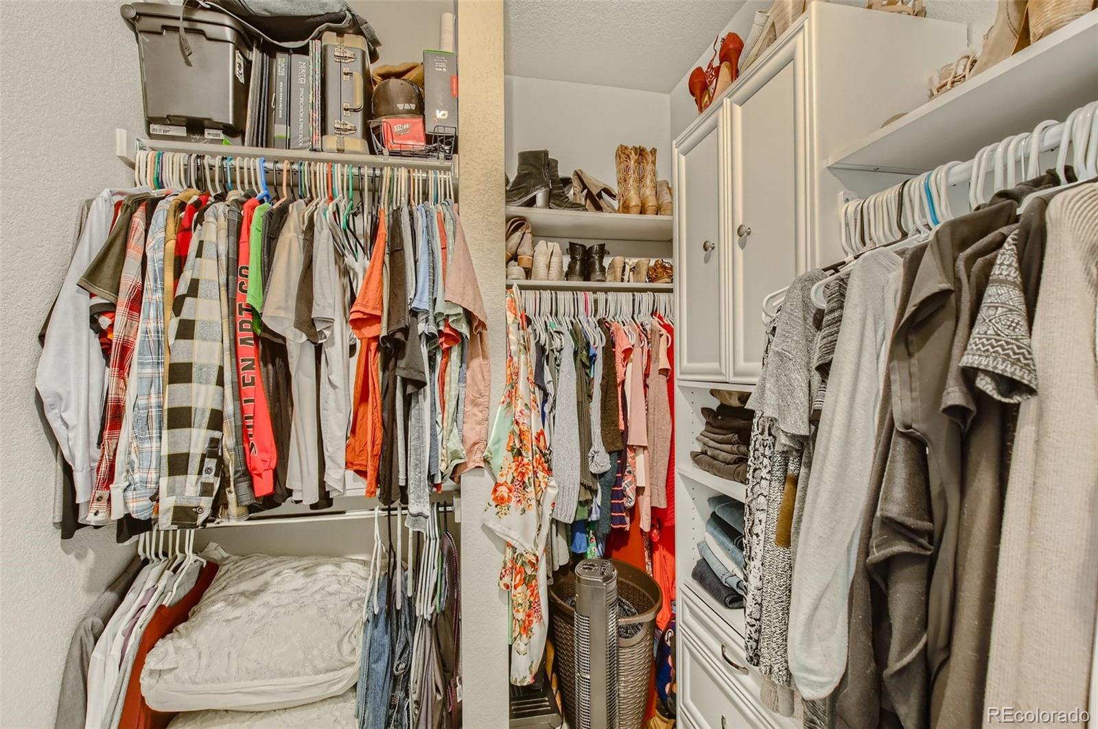MLS Image #15 for 804  summer hawk drive,longmont, Colorado