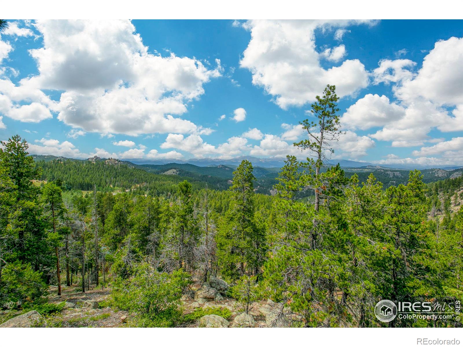 MLS Image #16 for 1298  highway 72 ,golden, Colorado