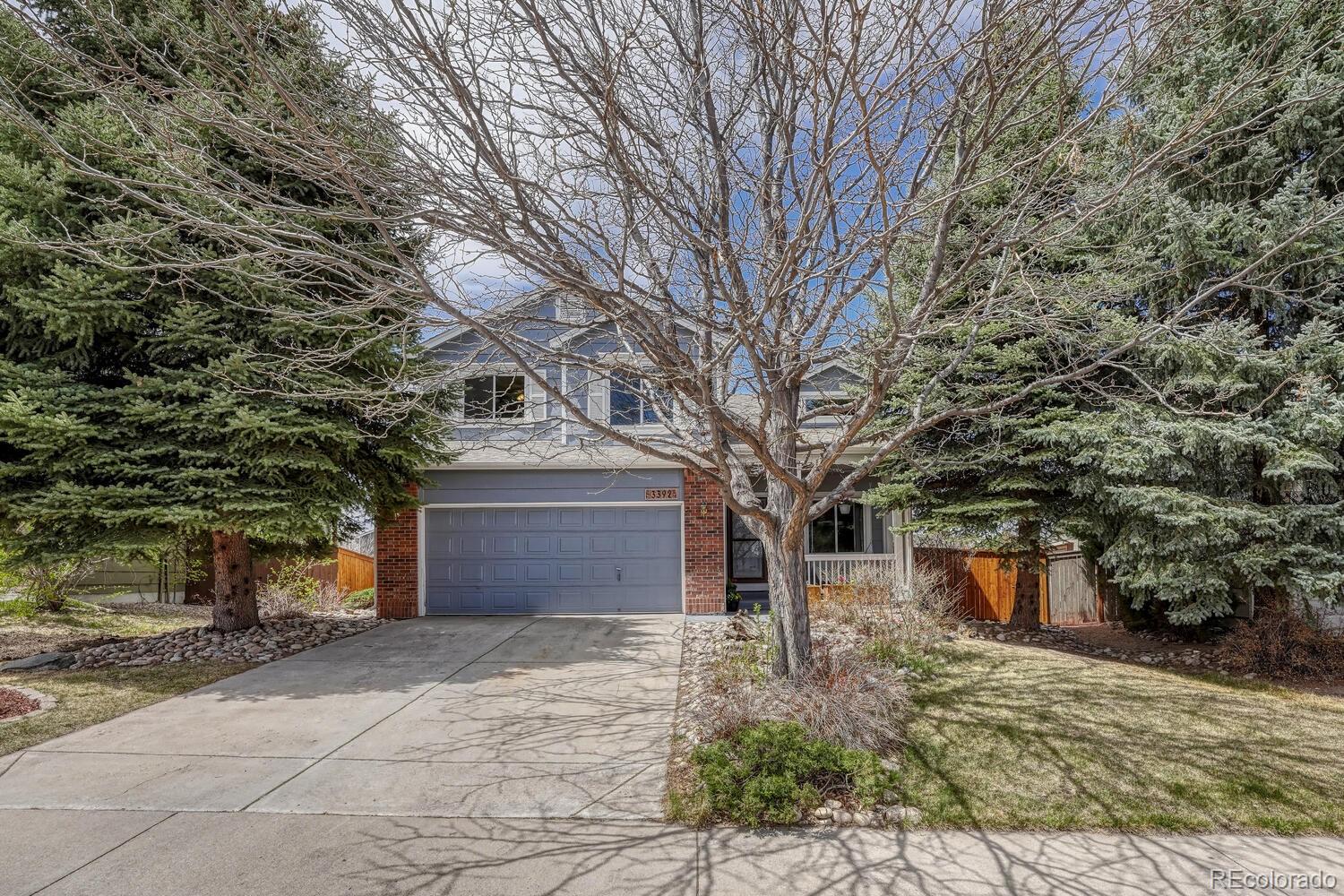 MLS Image #4 for 3392  blue grass circle,castle rock, Colorado