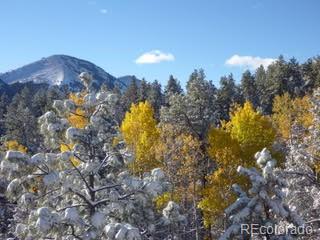 MLS Image #32 for 502  county road 401 ,la veta, Colorado