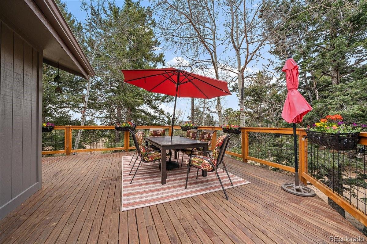 MLS Image #14 for 9039 s bertha court,morrison, Colorado