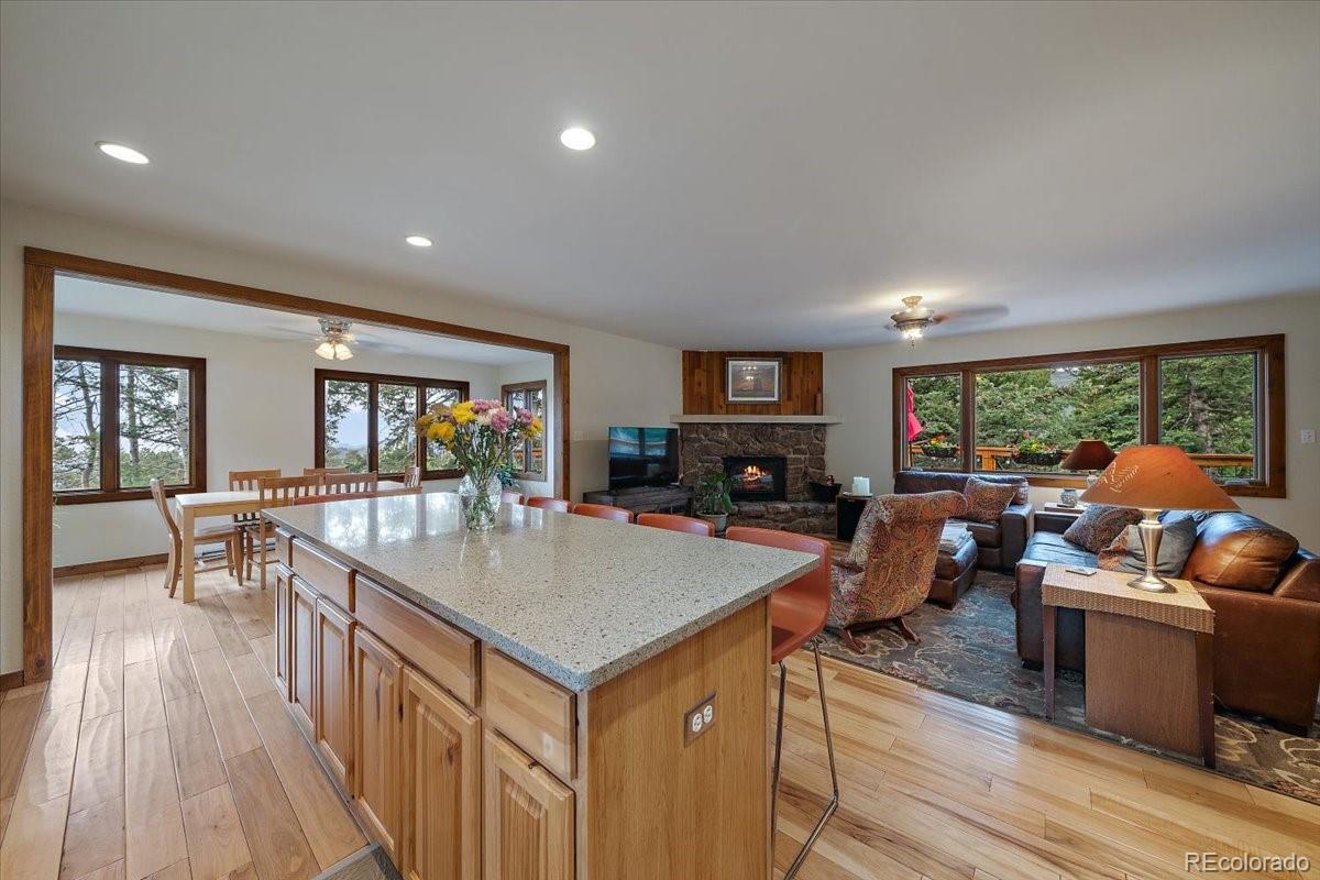 MLS Image #4 for 9039 s bertha court,morrison, Colorado