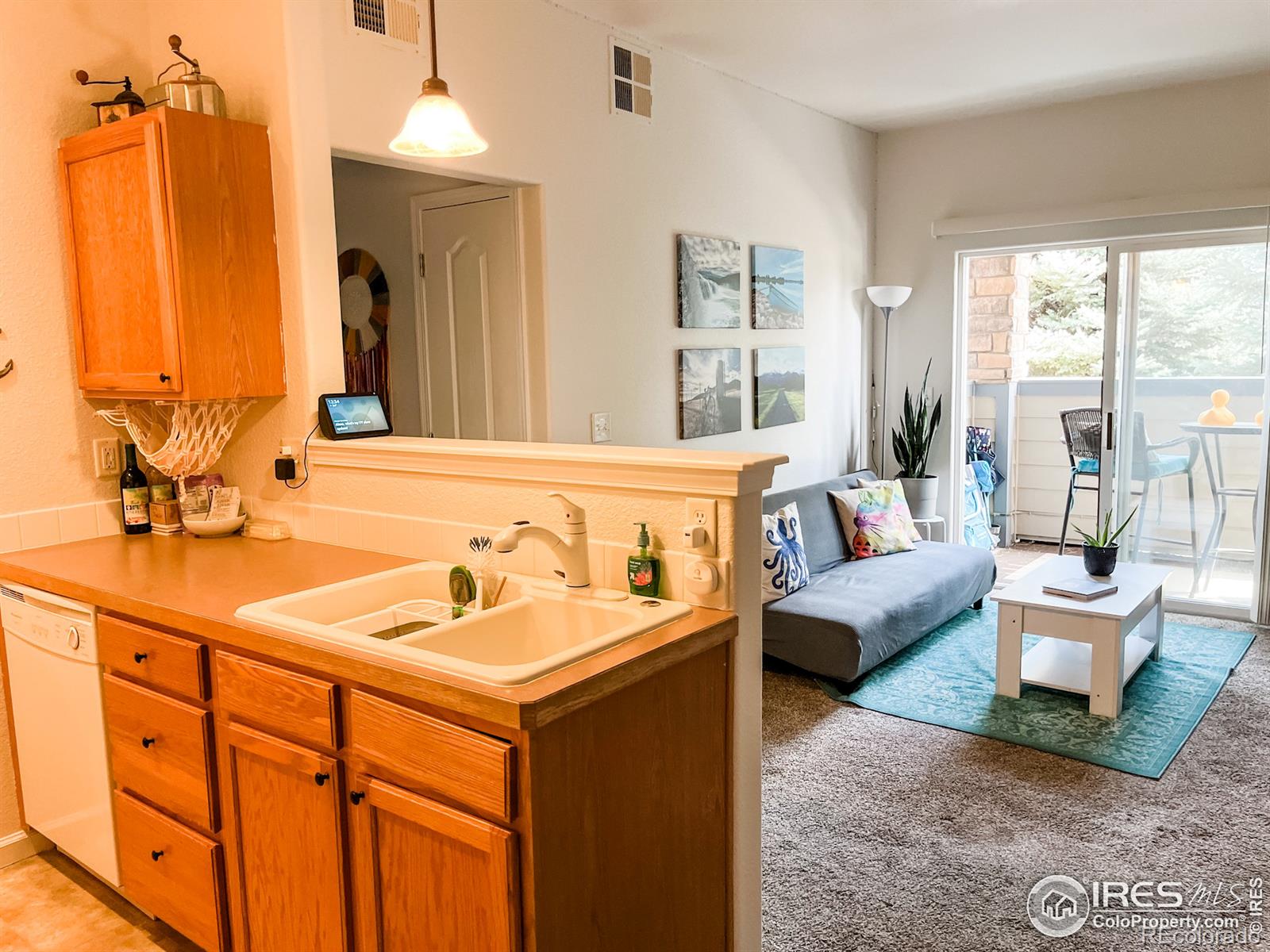 MLS Image #10 for 387  buffalo drive,windsor, Colorado