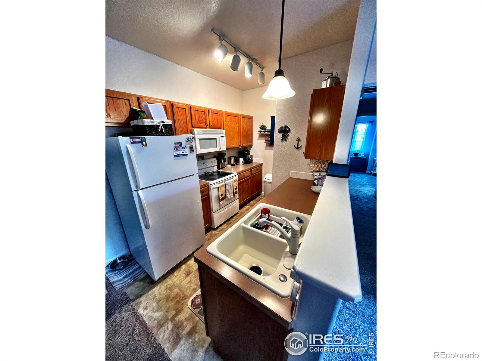 MLS Image #11 for 387  buffalo drive,windsor, Colorado