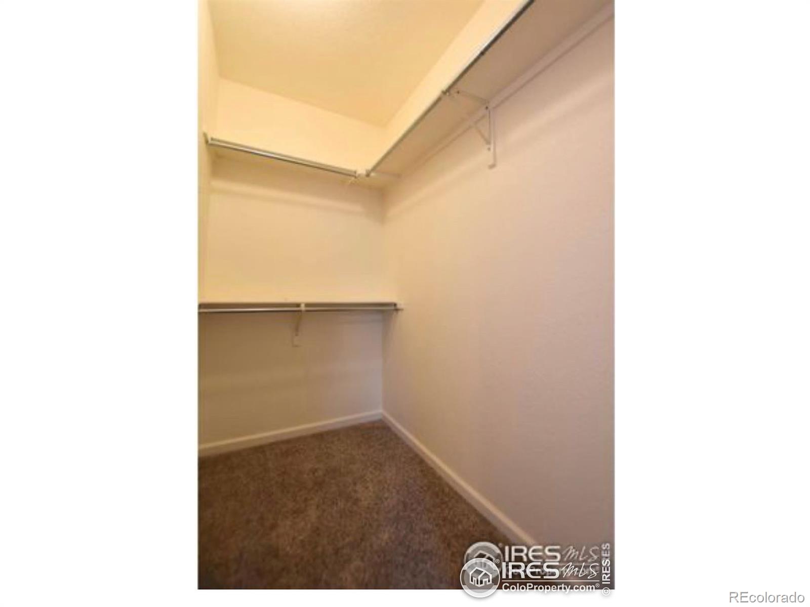 MLS Image #13 for 387  buffalo drive,windsor, Colorado