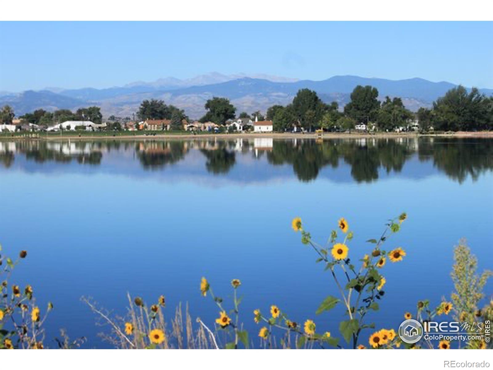 MLS Image #18 for 387  buffalo drive,windsor, Colorado