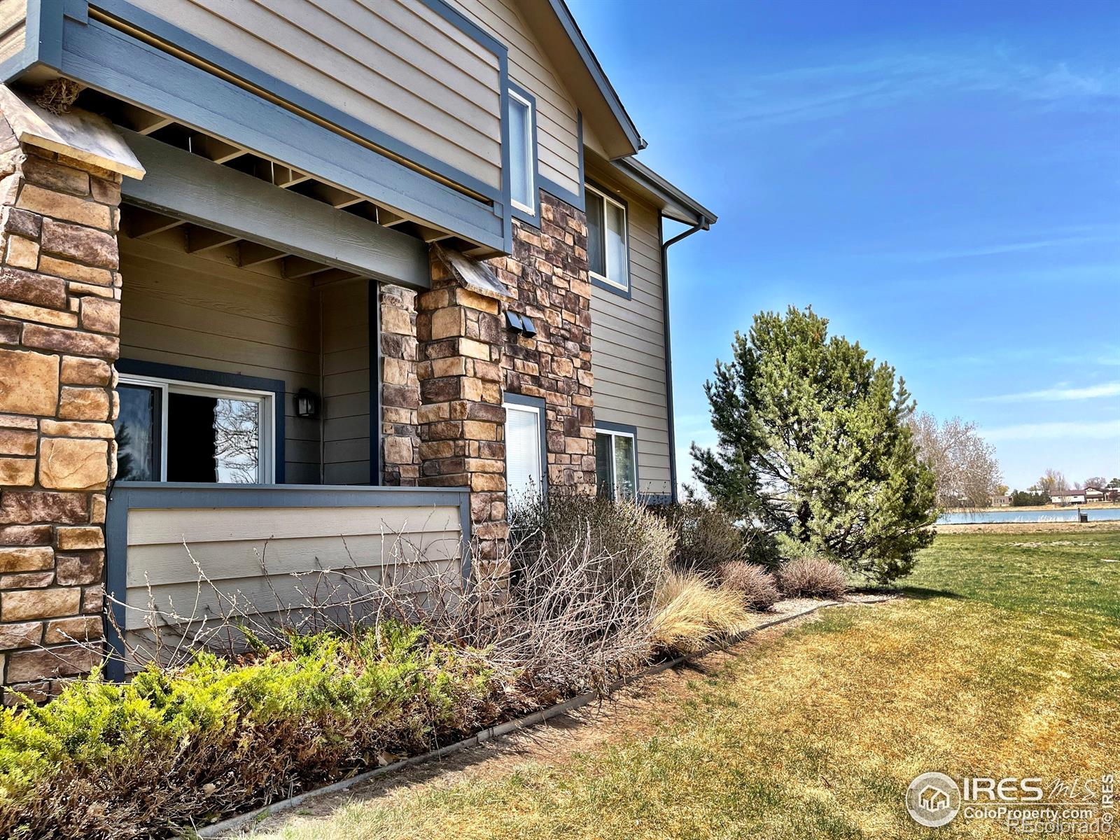 MLS Image #2 for 387  buffalo drive,windsor, Colorado