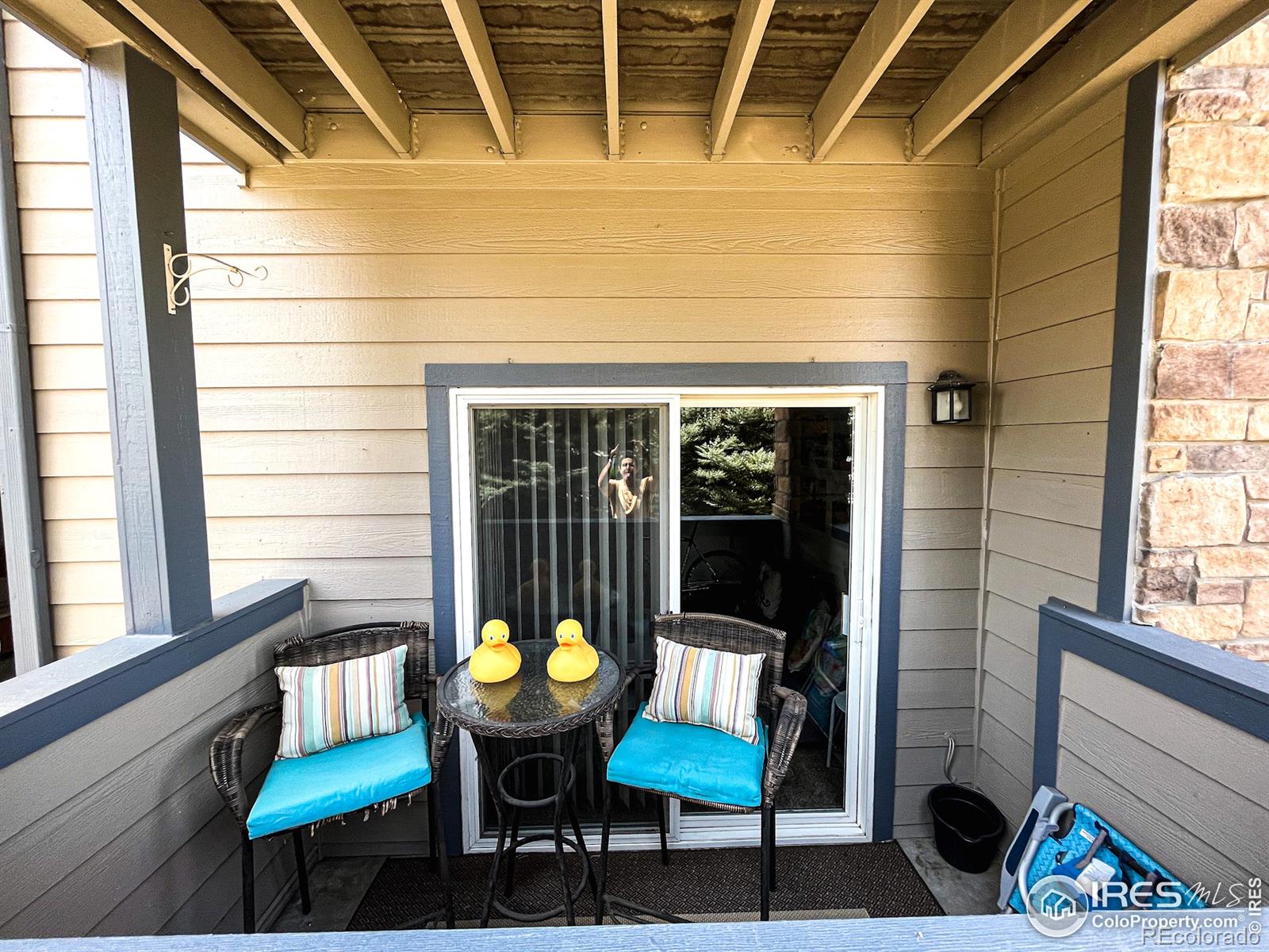 MLS Image #8 for 387  buffalo drive,windsor, Colorado