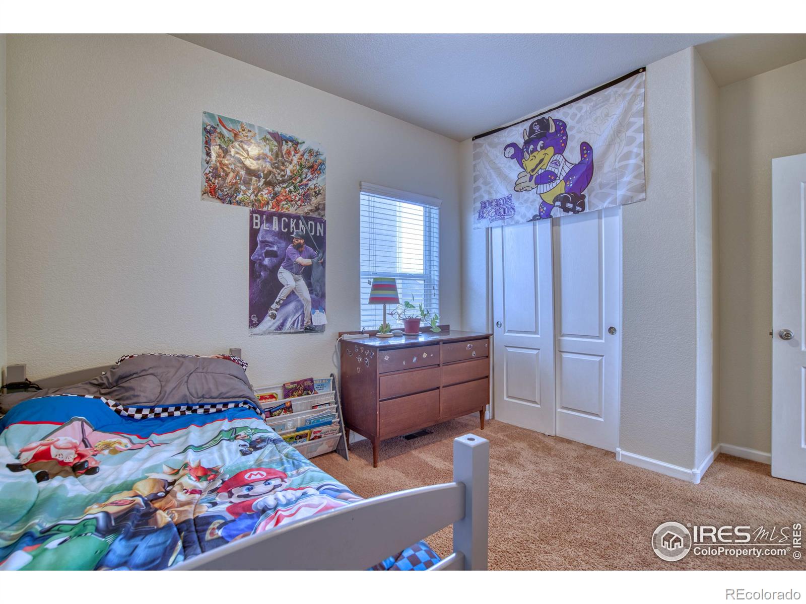 MLS Image #30 for 598  vista boulevard,brighton, Colorado