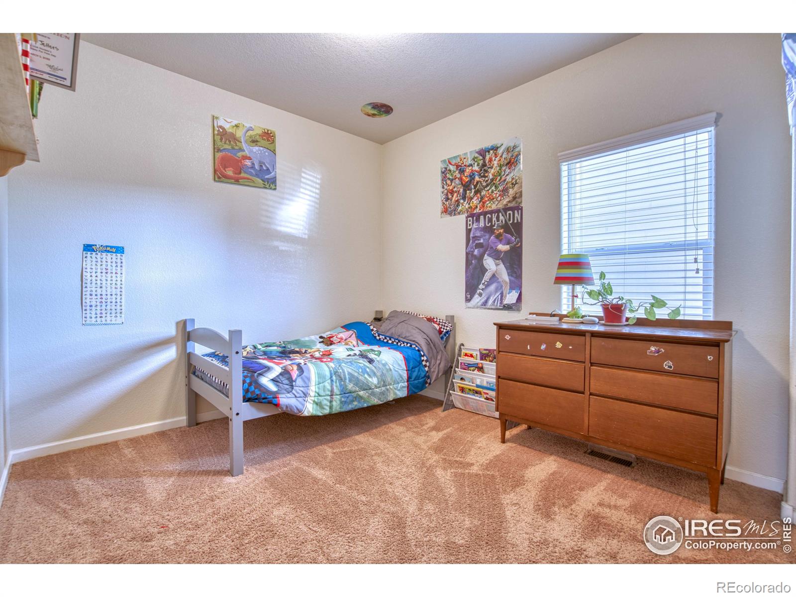 MLS Image #31 for 598  vista boulevard,brighton, Colorado