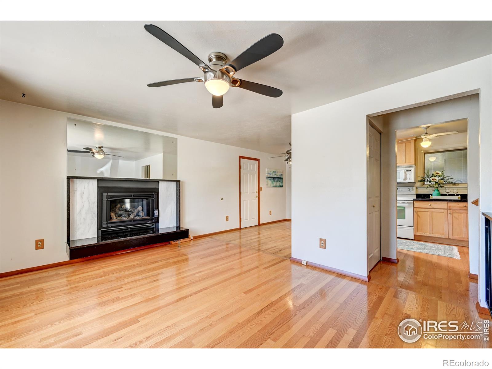 MLS Image #3 for 3127 s emporia court,denver, Colorado