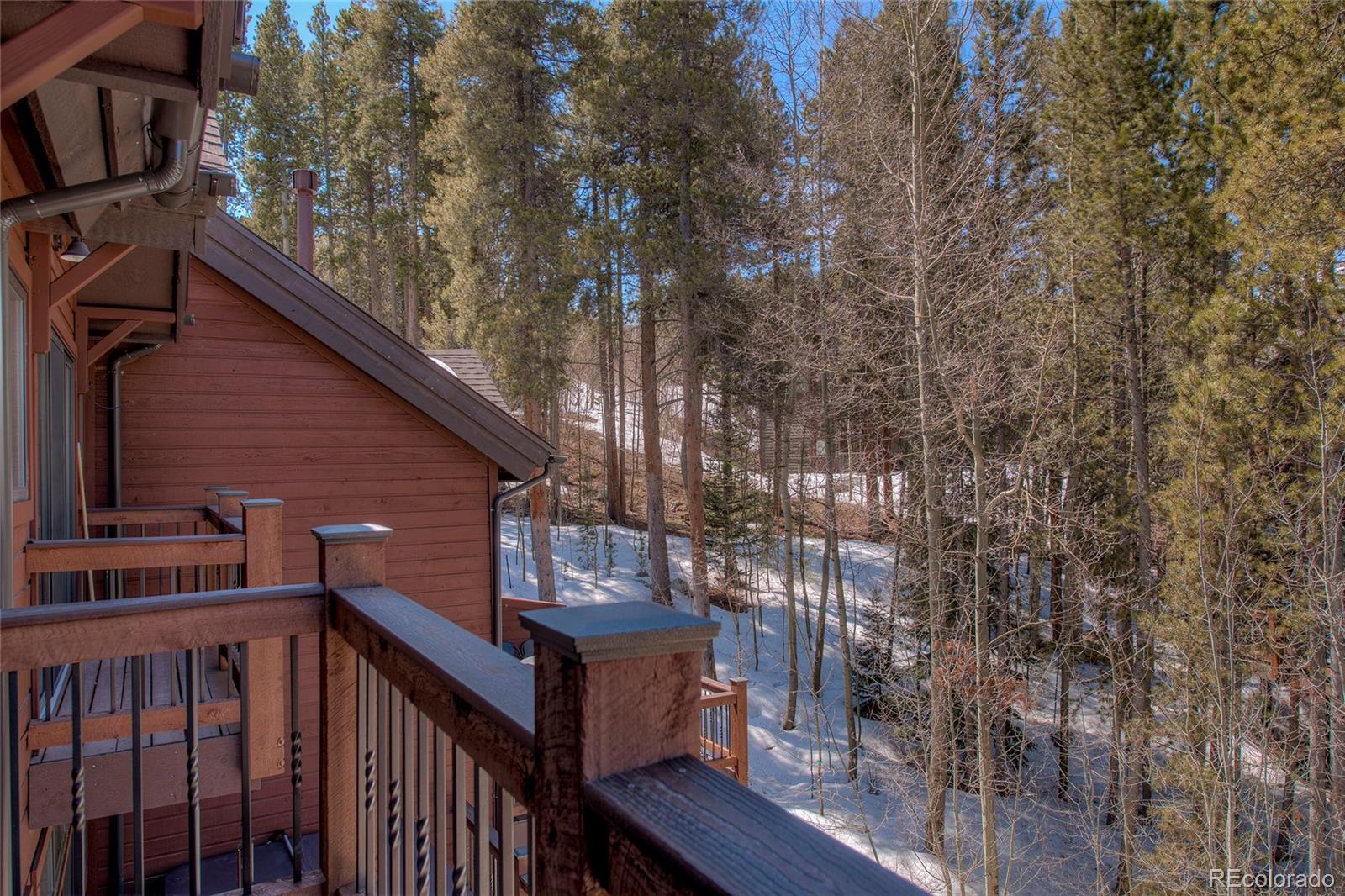 MLS Image #30 for 301  village point drive,breckenridge, Colorado