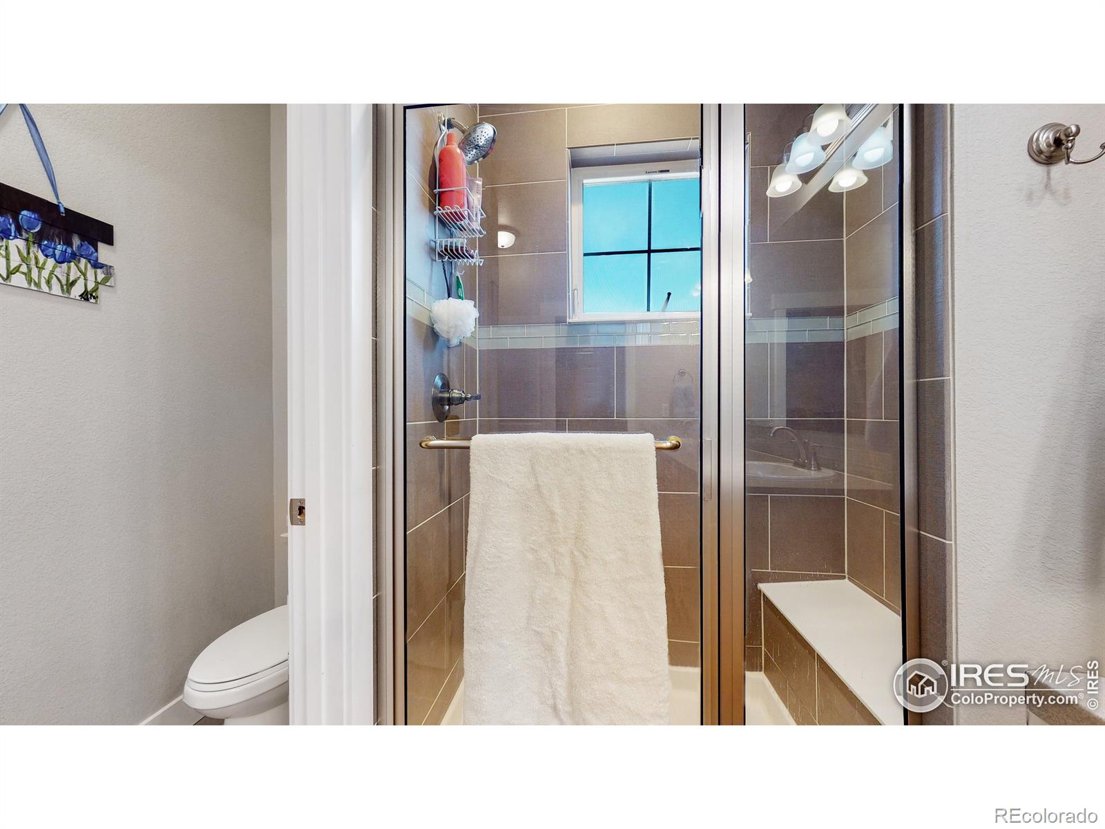 MLS Image #25 for 5033  autumn leaf drive,timnath, Colorado