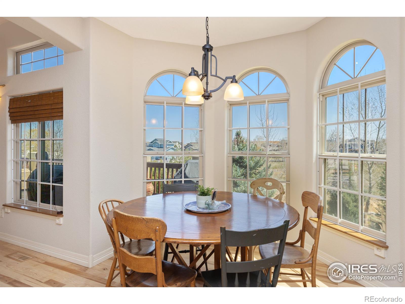 MLS Image #10 for 6124  clearwater drive,loveland, Colorado