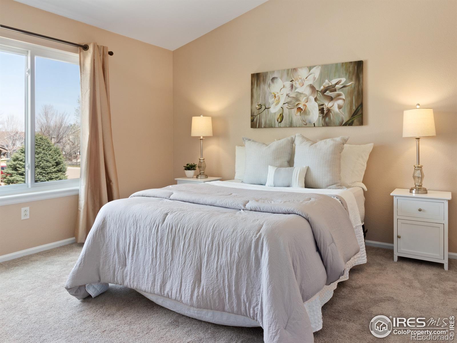 MLS Image #18 for 6666  scenic court,firestone, Colorado