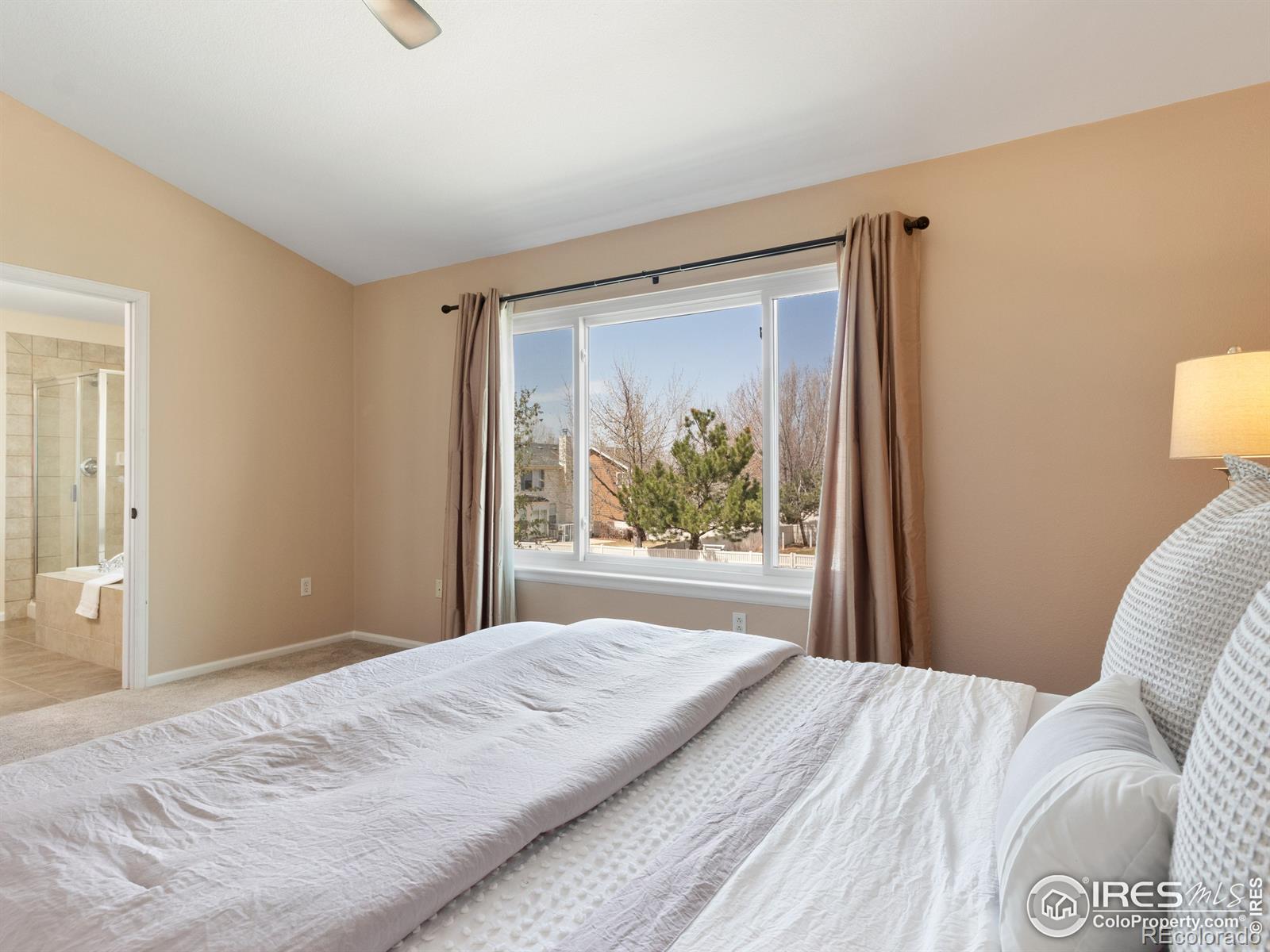 MLS Image #19 for 6666  scenic court,firestone, Colorado