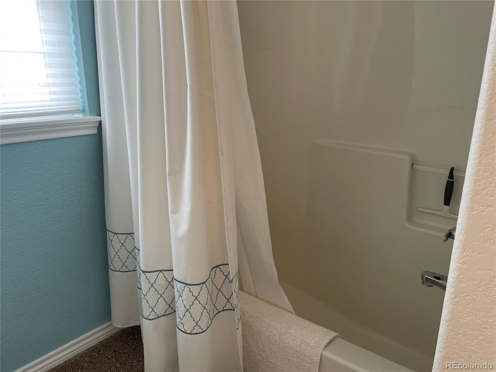 MLS Image #22 for 13811  manilla road,hudson, Colorado