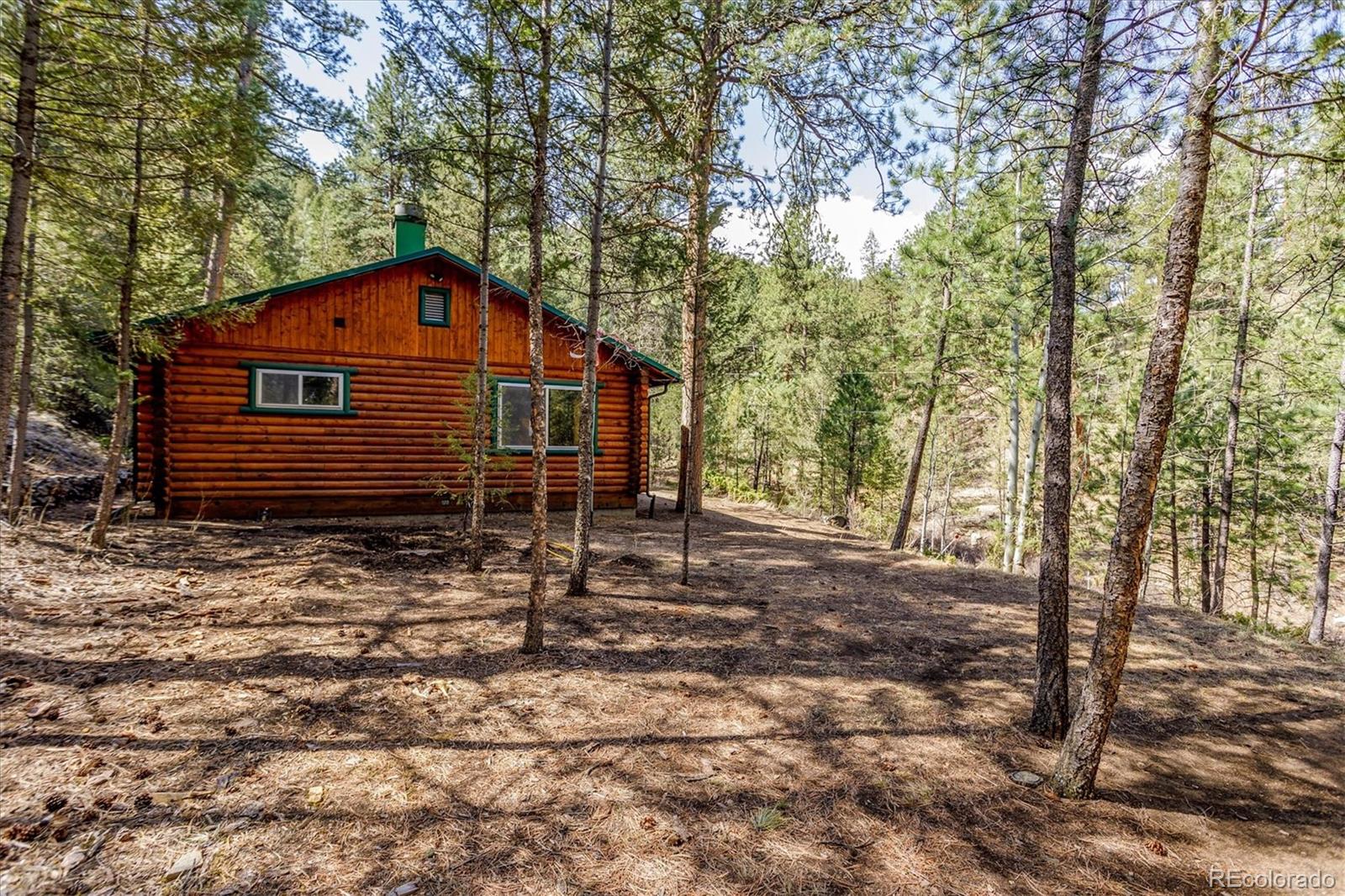 MLS Image #3 for 14601 s elk creek road,pine, Colorado