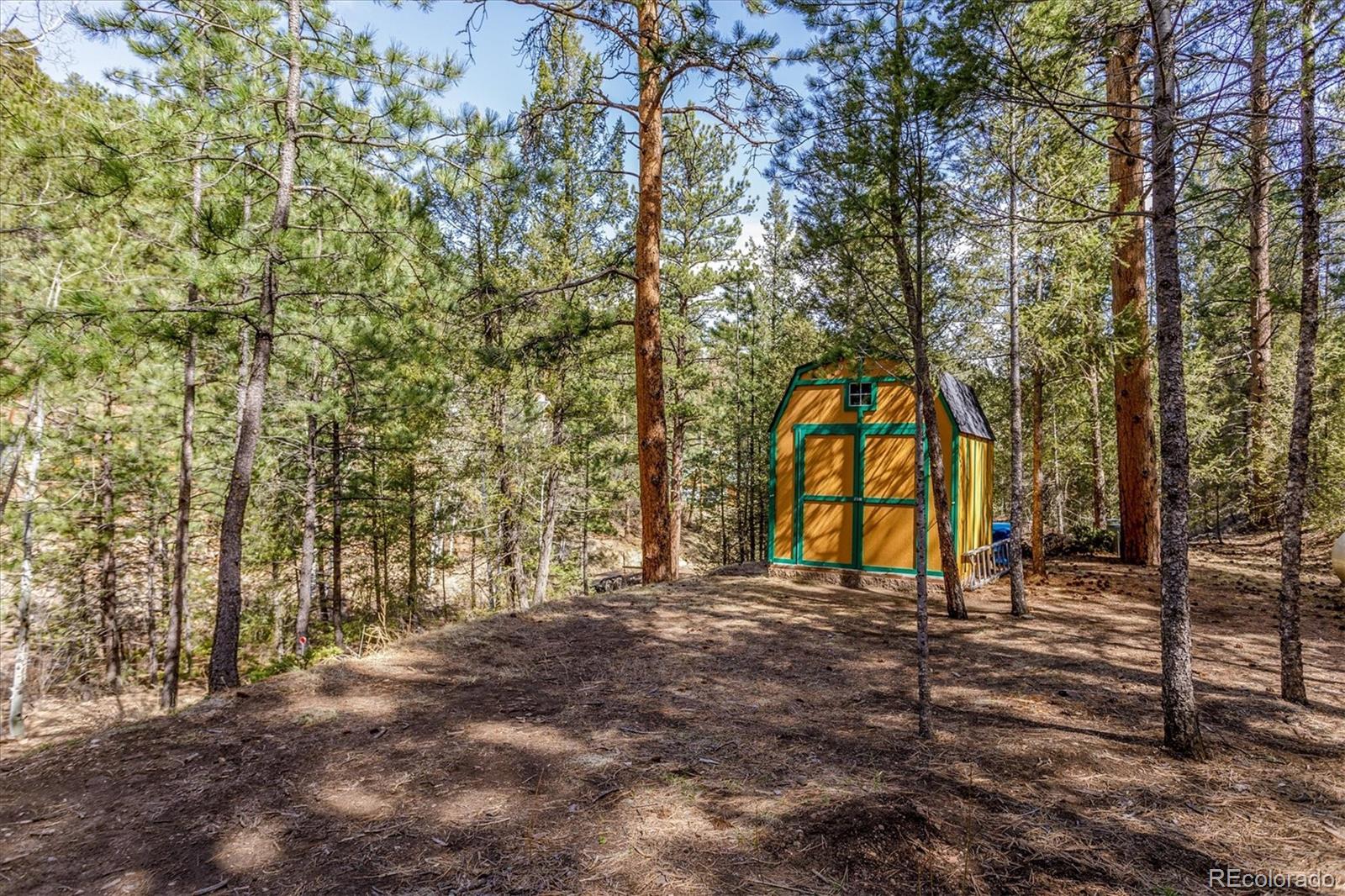 MLS Image #4 for 14601 s elk creek road,pine, Colorado