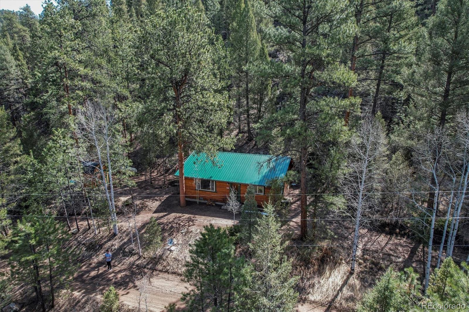 MLS Image #5 for 14601 s elk creek road,pine, Colorado