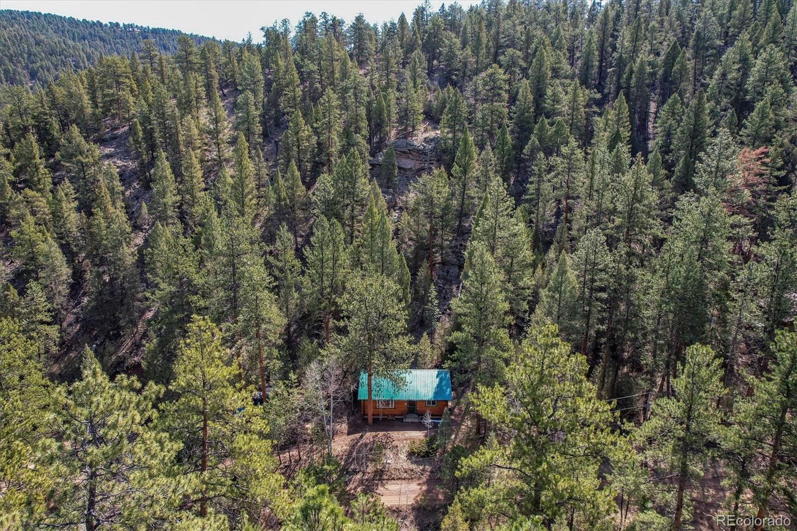 MLS Image #6 for 14601 s elk creek road,pine, Colorado