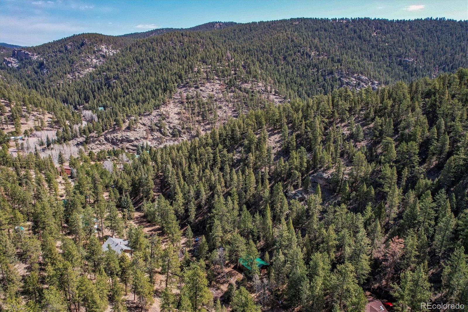 MLS Image #7 for 14601 s elk creek road,pine, Colorado