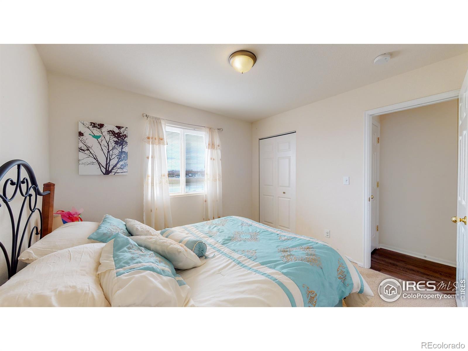 MLS Image #13 for 2531  bearwood avenue,greeley, Colorado