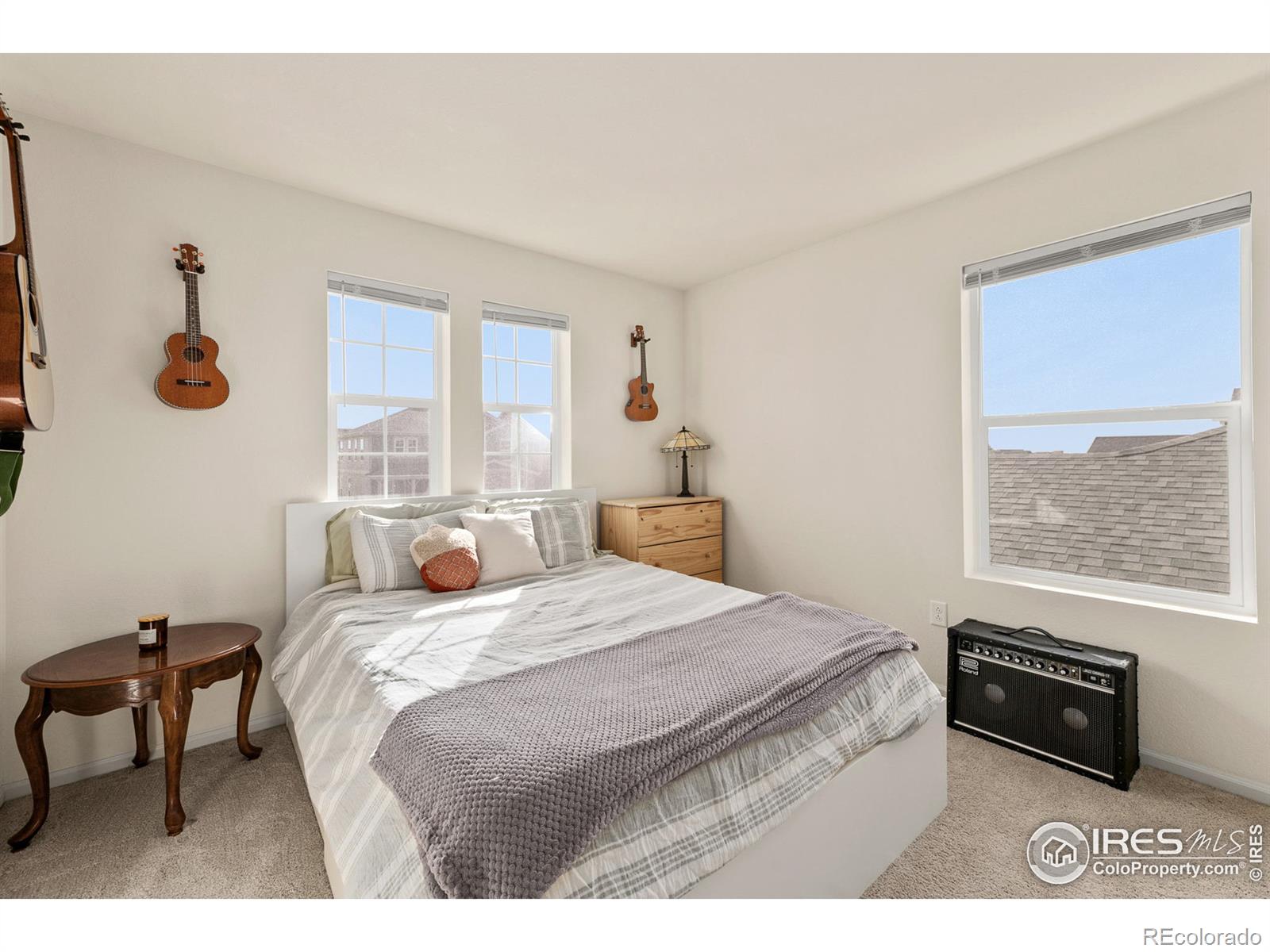 MLS Image #20 for 2991  cub lake drive,loveland, Colorado