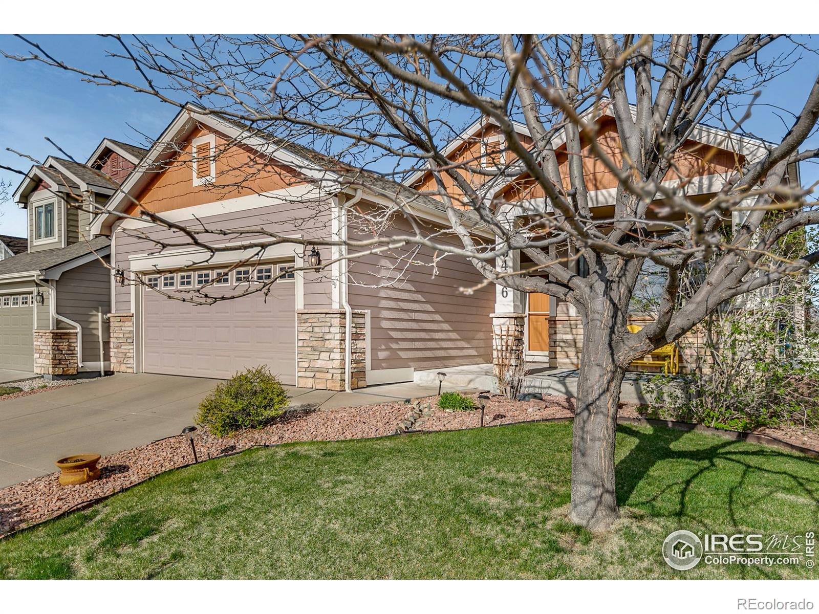 MLS Image #2 for 3436  widefield court,loveland, Colorado
