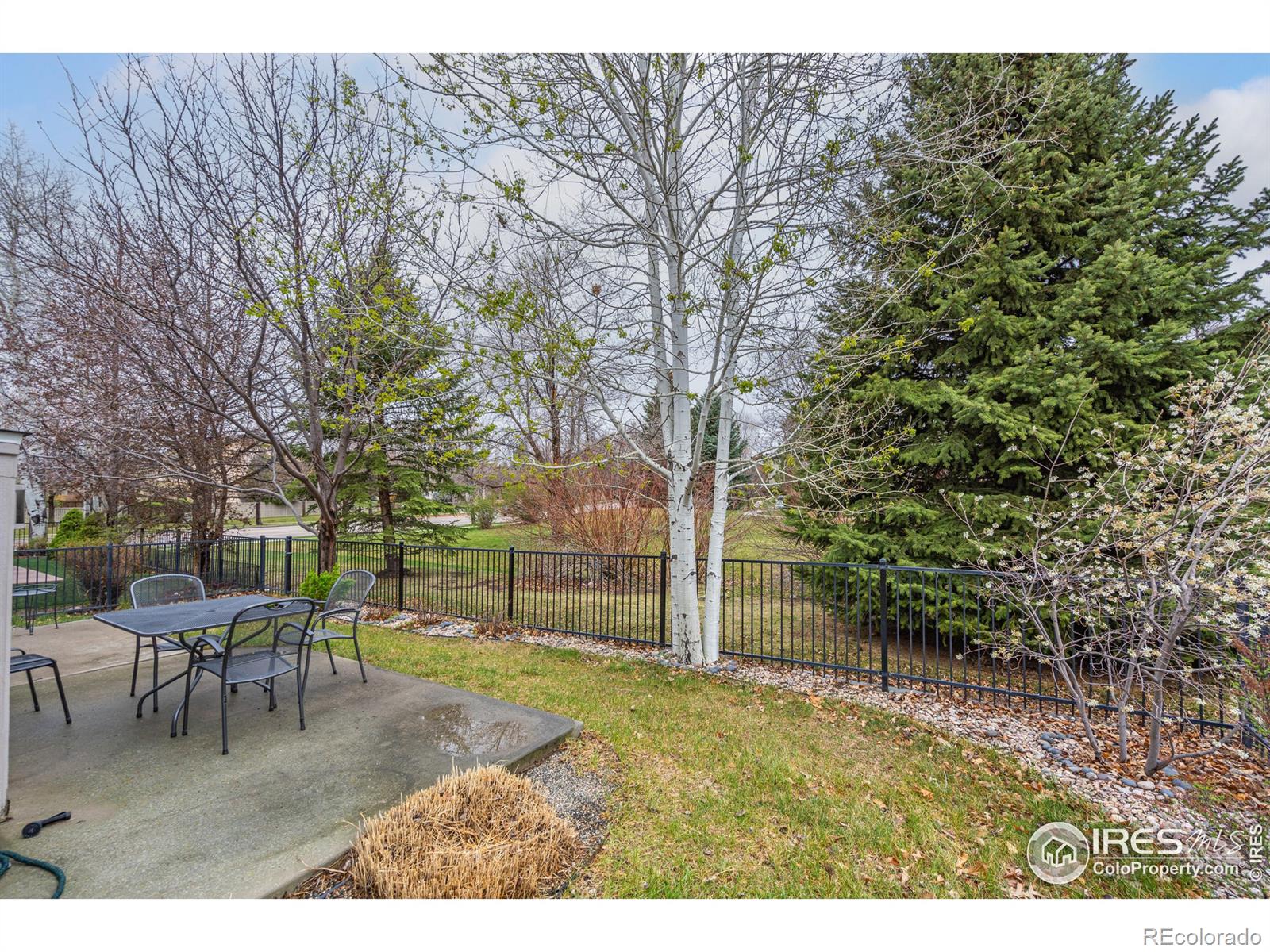 MLS Image #6 for 5000  boardwalk drive,fort collins, Colorado