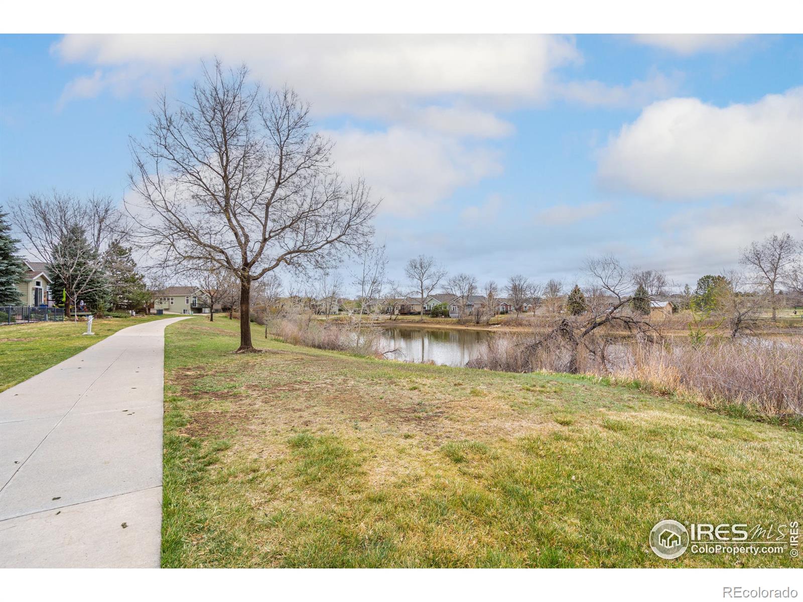 MLS Image #8 for 5000  boardwalk drive,fort collins, Colorado