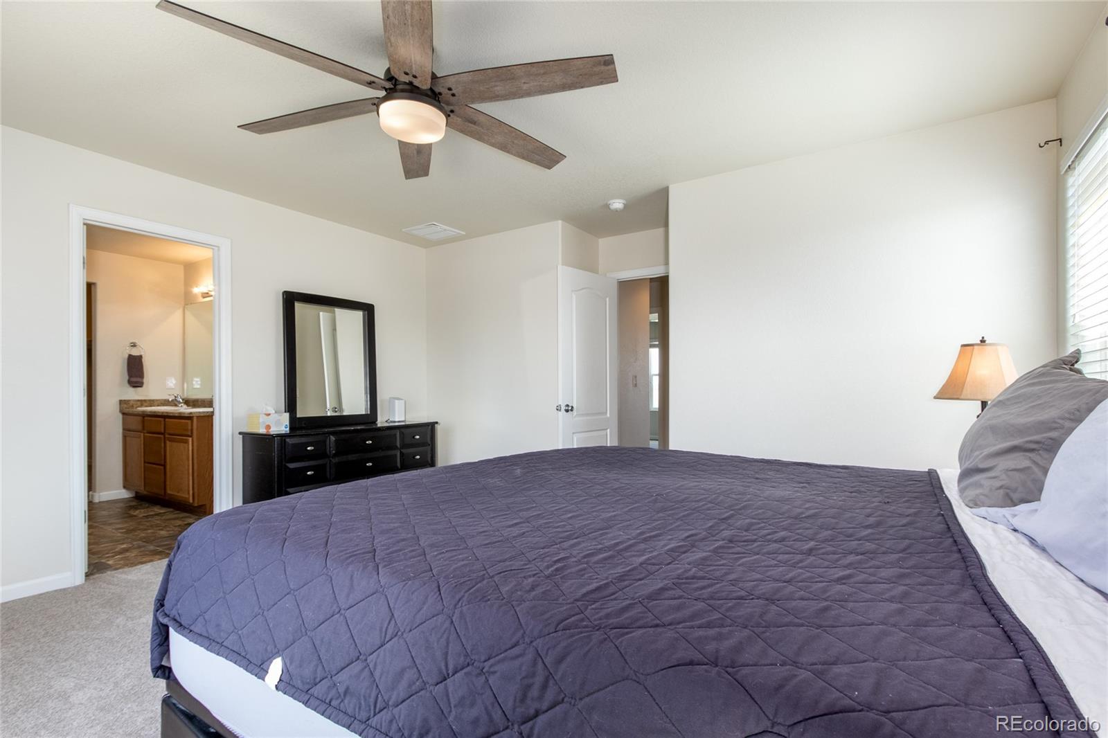 MLS Image #10 for 5641  legacy parkway,dacono, Colorado