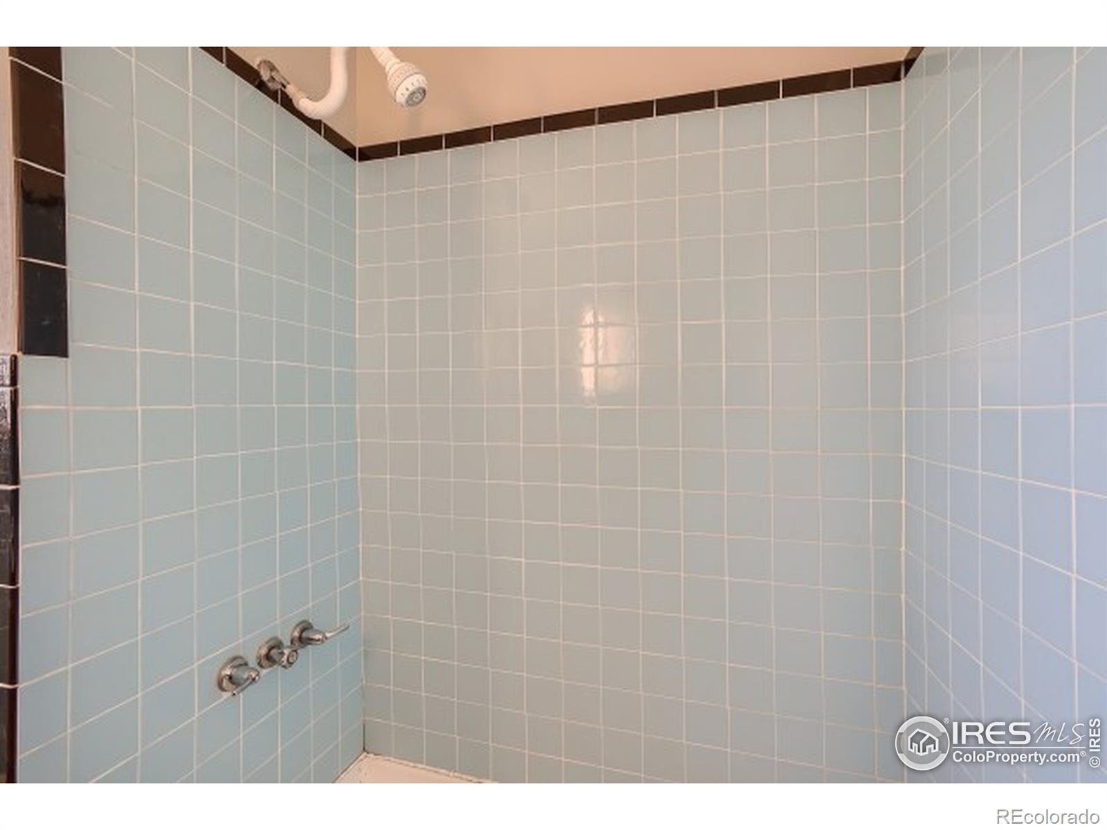 MLS Image #14 for 1345  overhill road,golden, Colorado