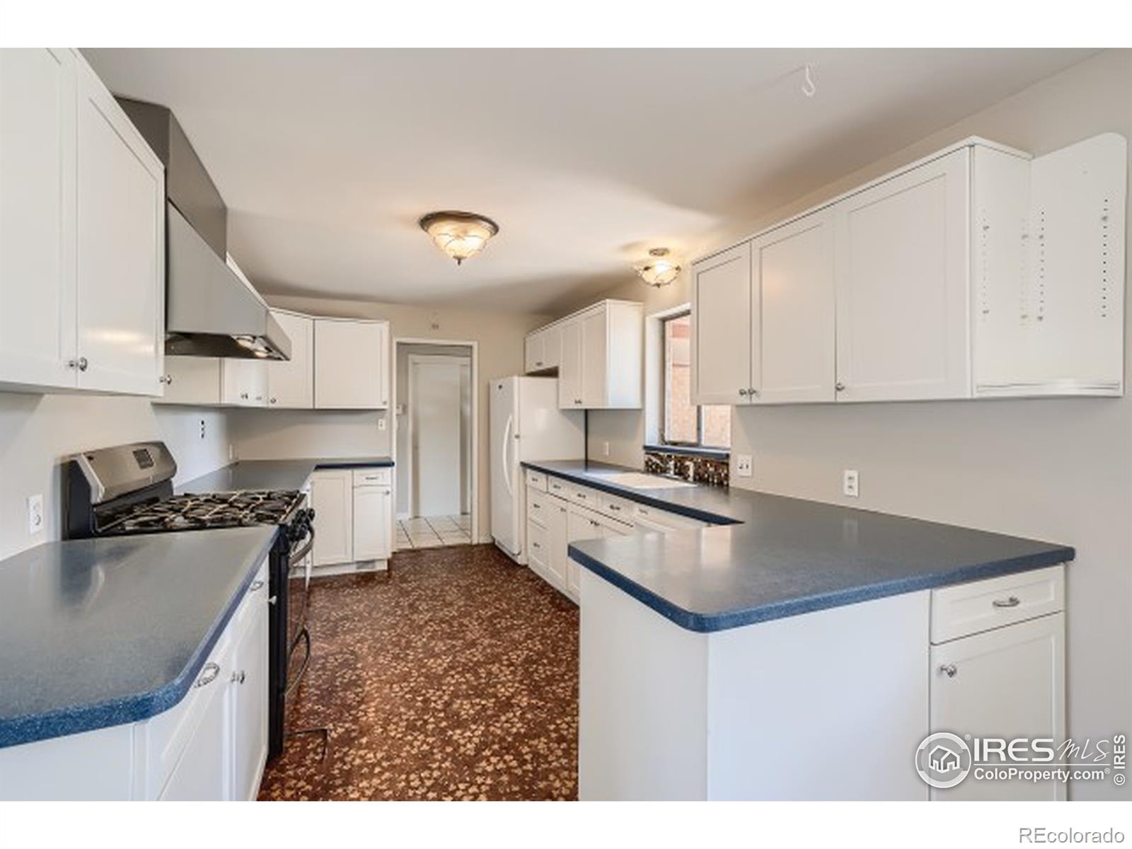 MLS Image #6 for 1345  overhill road,golden, Colorado