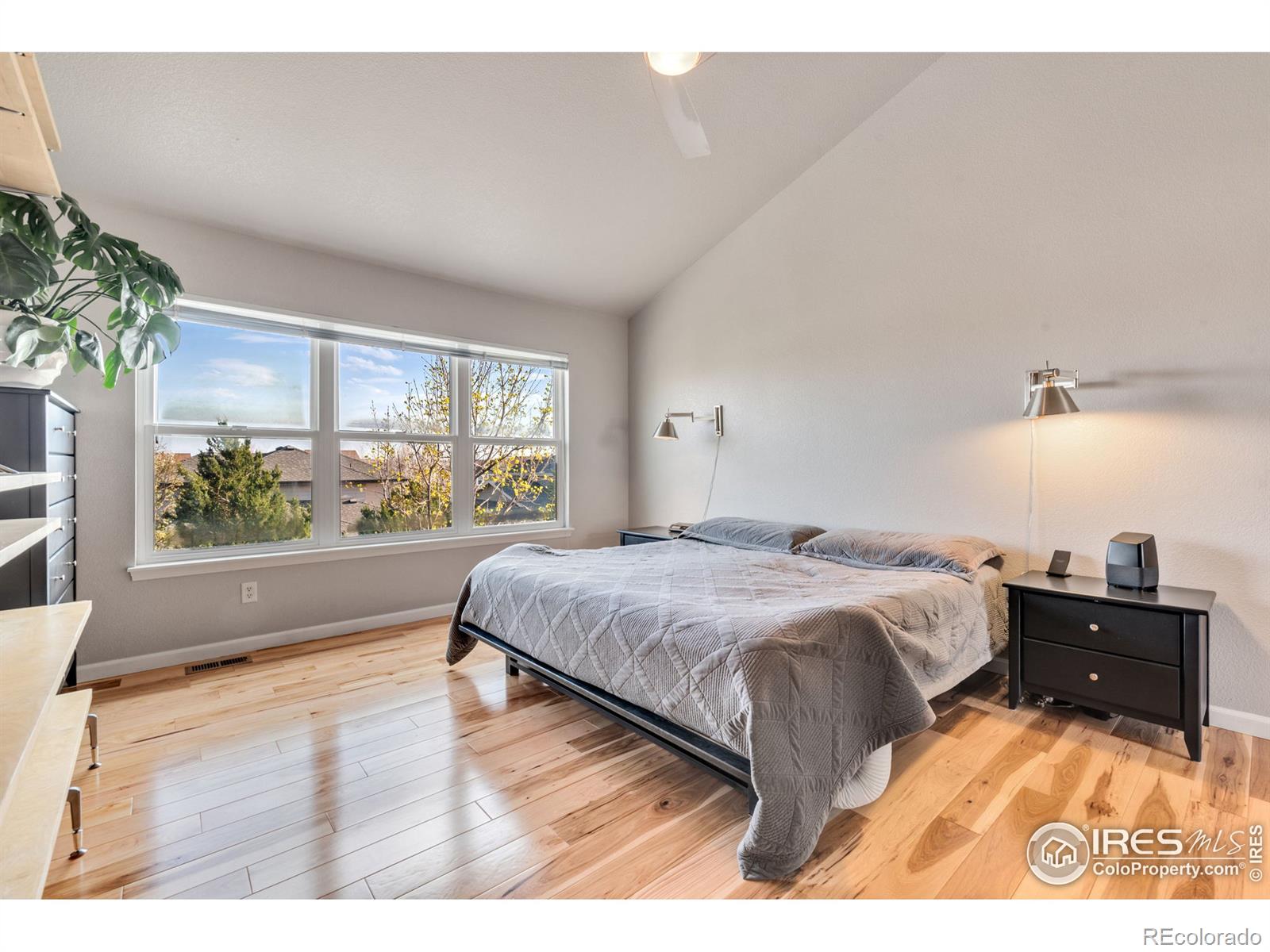 MLS Image #23 for 1521  wasp court,fort collins, Colorado