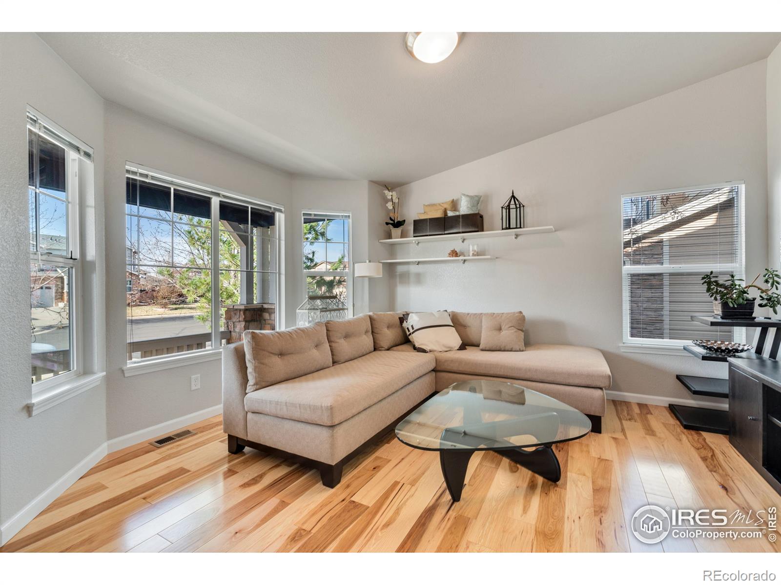 MLS Image #3 for 1521  wasp court,fort collins, Colorado