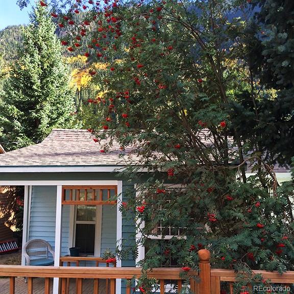 MLS Image #19 for 270  main street,silver plume, Colorado