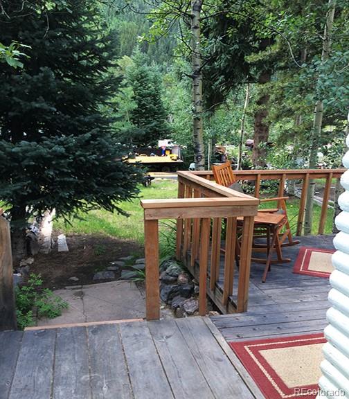 MLS Image #30 for 270  main street,silver plume, Colorado